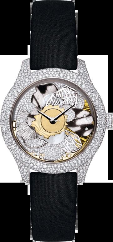 TIMEZ Dior Dior Grand Bal 36mm N10 Features